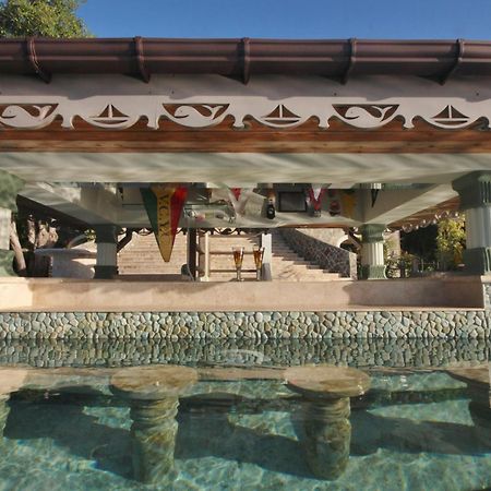Tropical Hideaway Hotel Port Elizabeth Exterior foto